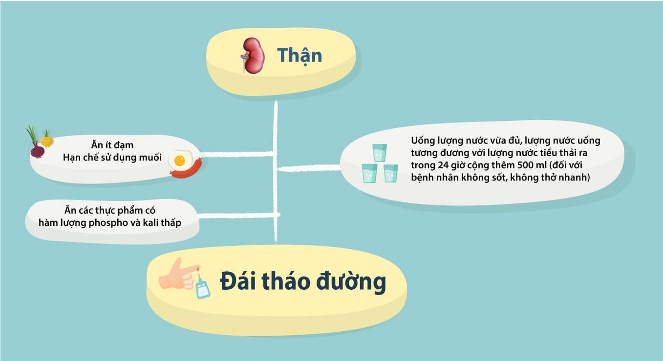 lập một kế hoạch ăn uống tốt nhất