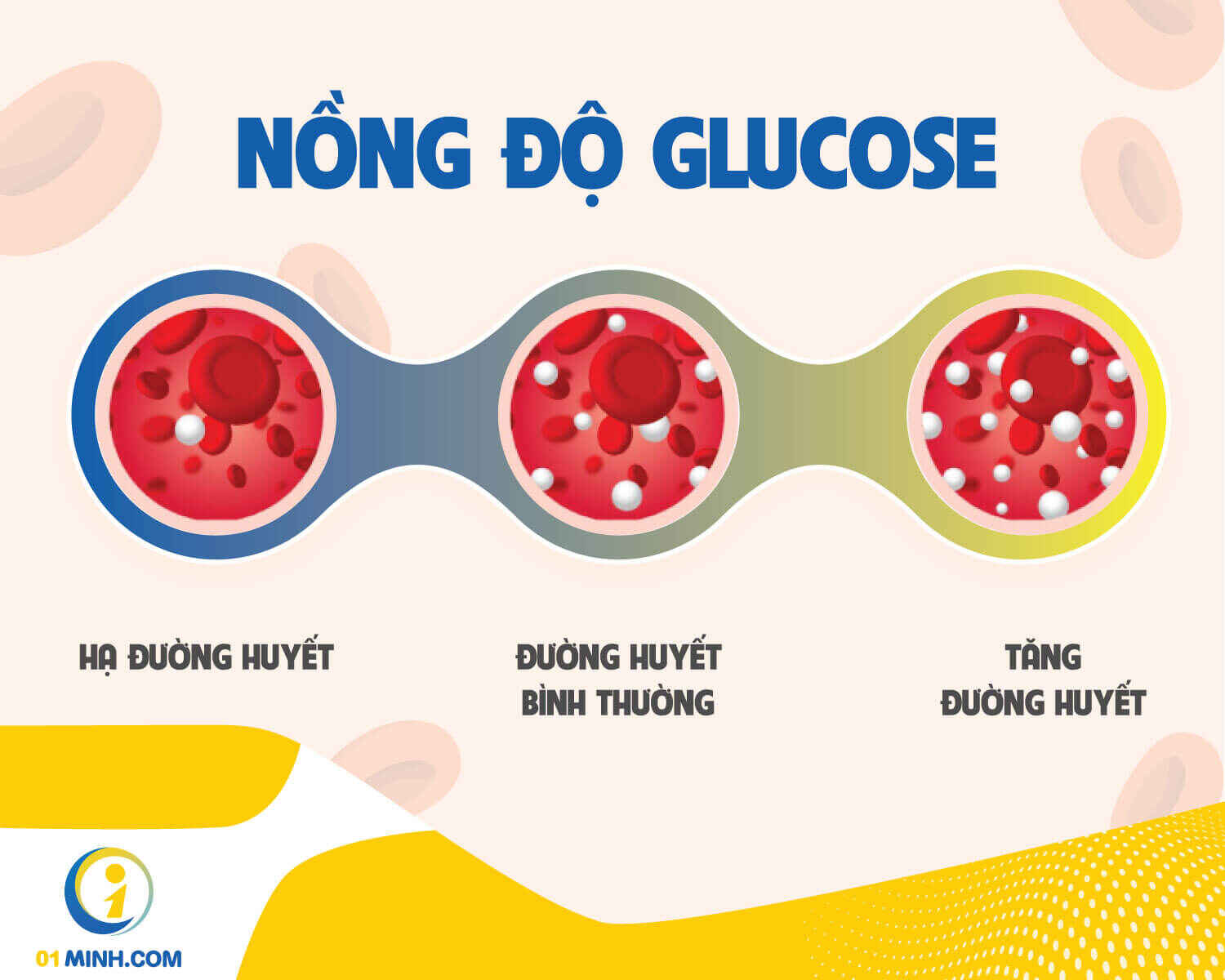 Nồng độ glucose thể hiện lượng đường huyết có trong máu 