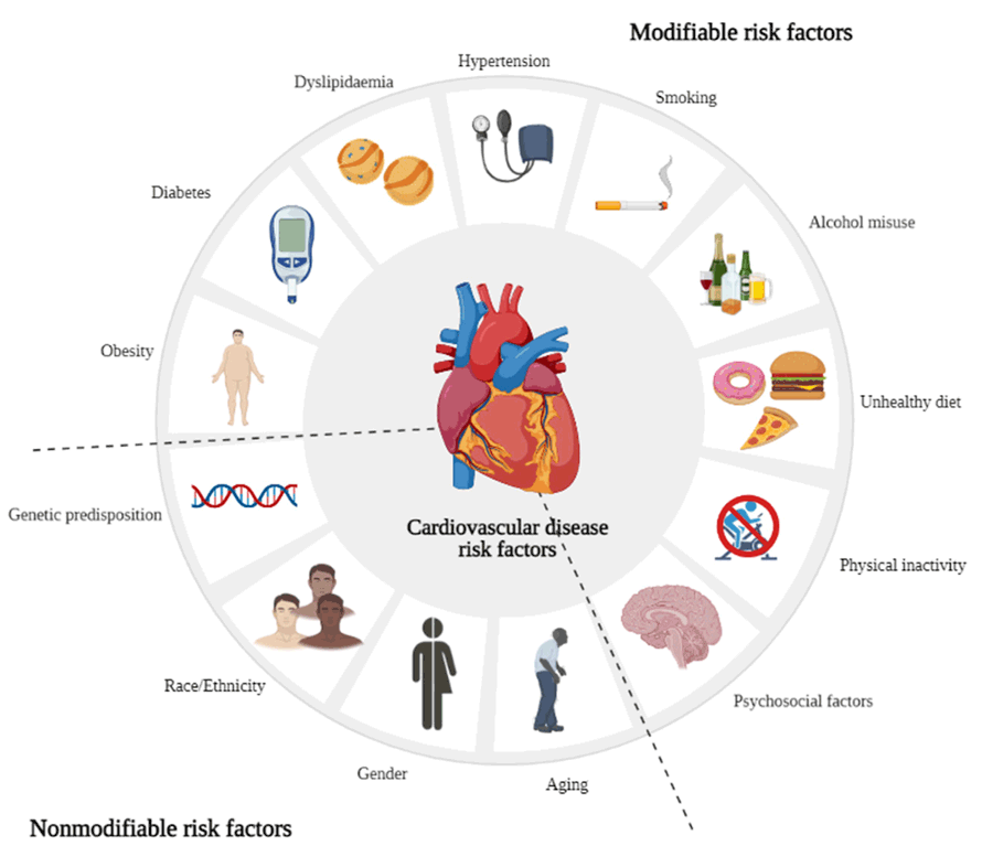 Molecules | Free Full-Text | The Role of Essential Oils and Their Main  Compounds in the Management of Cardiovascular Disease Risk Factors