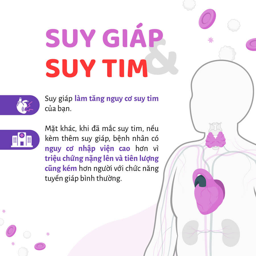 Khi mắc suy giáp người bệnh dễ có nguy cơ bị suy tim