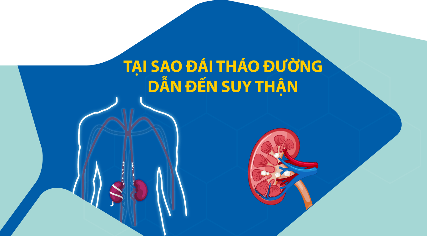 TẠI SAO ĐÁI THÁO ĐƯỜNG DẪN ĐẾN SUY THẬN